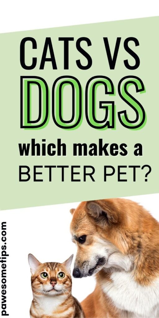 "Cats vs Dogs debate – which makes a better pet? Comparison of a tabby cat and a golden dog with text overlay for a pet advice blog post from PawsomeTips.com."
