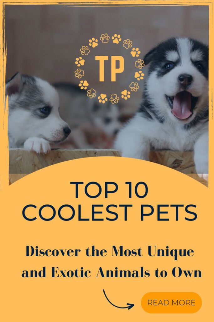 "Cute husky puppies in a wooden box with text overlay promoting a blog post on the top 10 coolest pets, including exotic and unique animals to own."